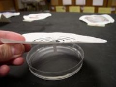 tn_Chromatography Challenge 011